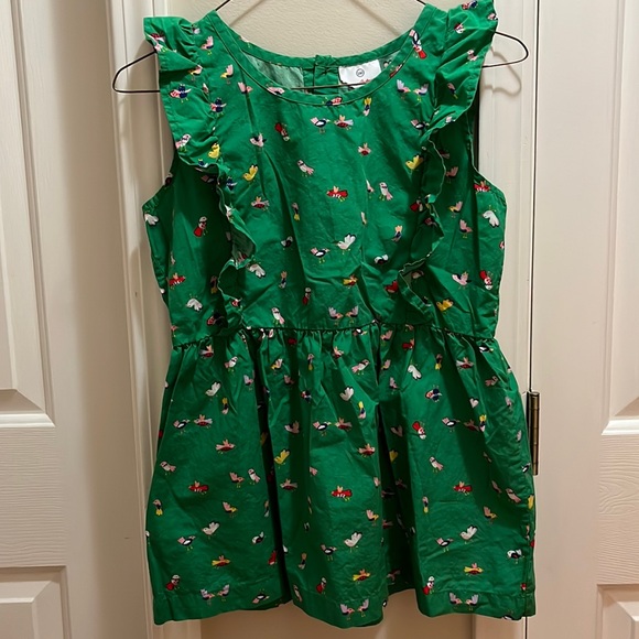Hanna Andersson Other - Hanna Anderson girls 14 top green w birds cotton ruffles